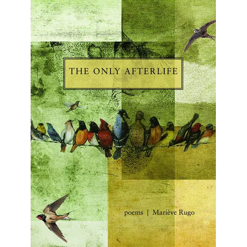 The Only Afterlife: Poems