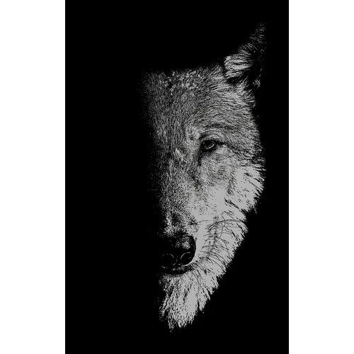 In the Company of Wolves: Werewolves, Wolves and Wild Children