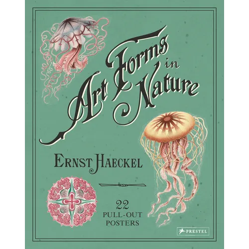 Art Forms in Nature: 22 Pull-Out Posters
