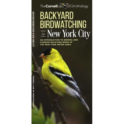 Backyard Birdwatching in New York City