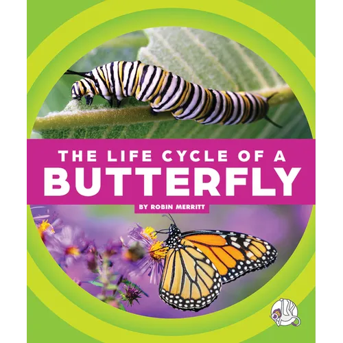 The Life Cycle of a Butterfly