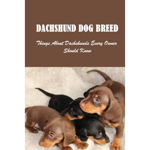 Dachshund Dog Breed: Things About Dachshunds Every Owner Should Know: Can You Breed A Mini Dachshund With A Standard