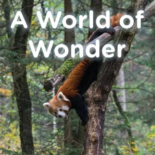 A World of Wonder