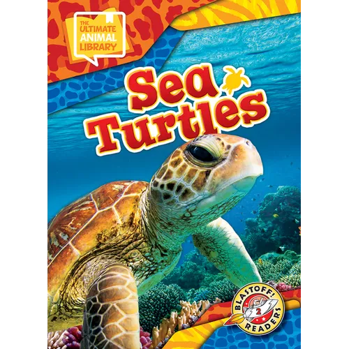 Sea Turtles