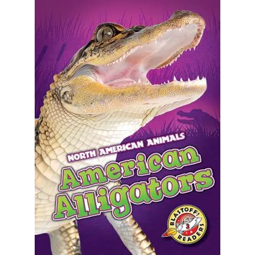 American Alligators