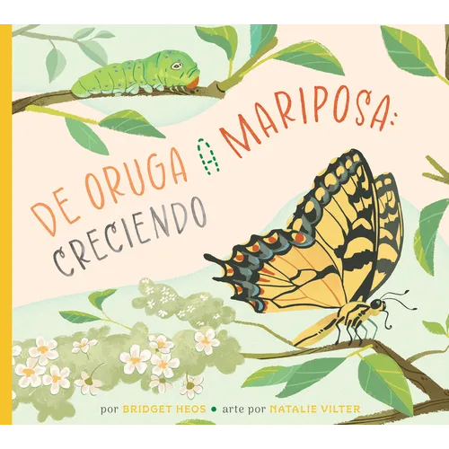 de la Oruga a la Mariposa: Creciendo