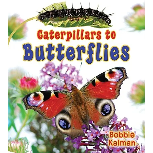 Caterpillars to Butterflies