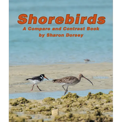 Shorebirds: A Compare and Contrast Book
