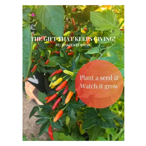 The Gift That Keeps Giving!: Plant a Seed & Watch it Grow