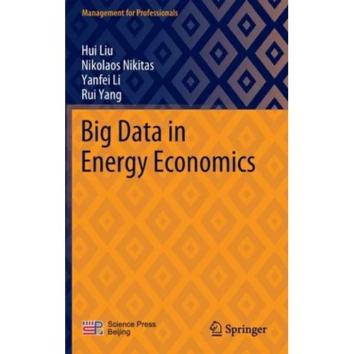 Big Data in Energy Economics