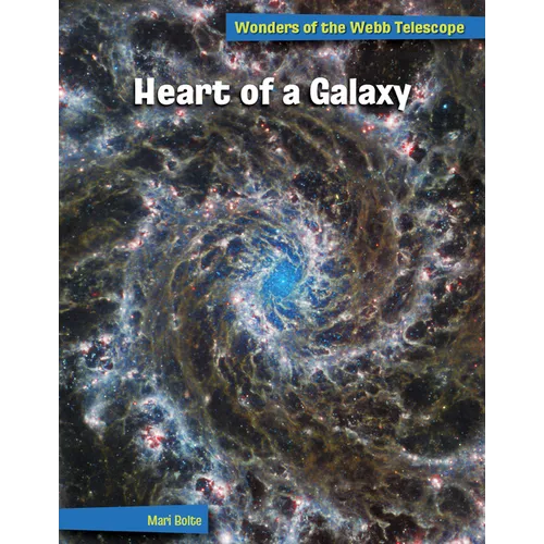 Heart of a Galaxy