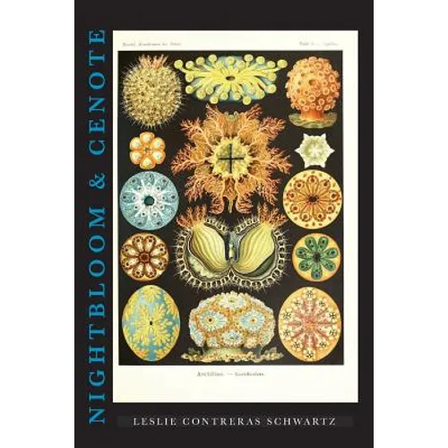 Nightbloom & Cenote