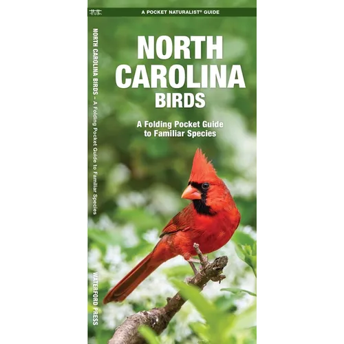 North Carolina Birds: A Folding Pocket Guide to Familiar Species