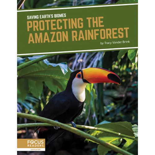 Protecting the Amazon Rainforest