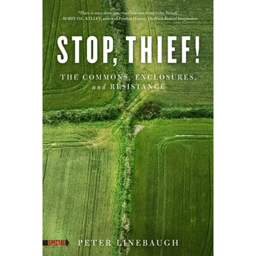 Stop, Thief!: The Commons, Enclosures, and Resistance