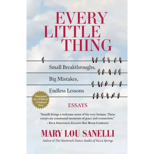 Every Little Thing: Small Breakthroughs, Big Mistakes, Endless Lessons