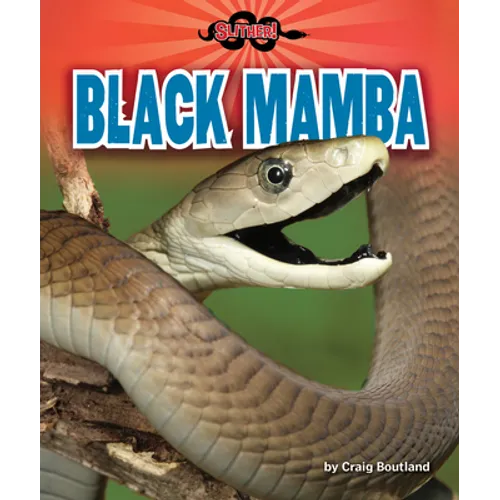 Black Mamba