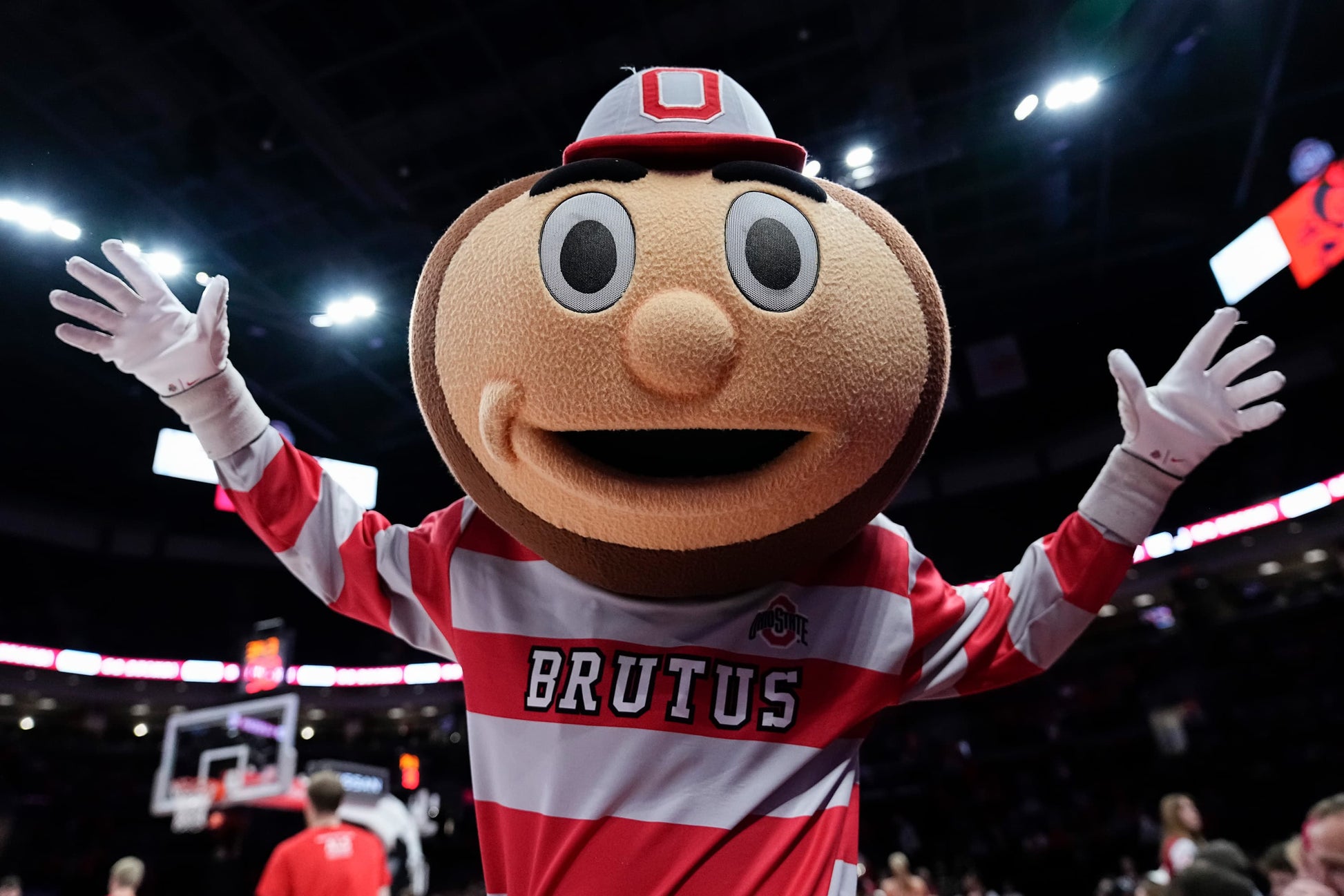 Being Brutus Inside the Head of Ohio State's Iconic Mascot Book - PREORDER ships 11/27/2026