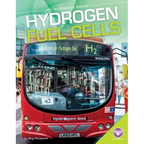 Hydrogen Fuel Cells
