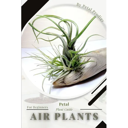 Air plants: Prodigy Petal, Plant Guide