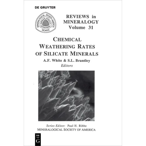 Chemical Weathering Rates of Silicate Minerals