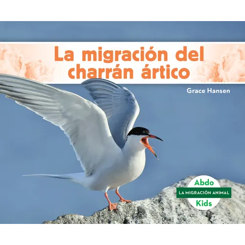 La Migración del Charrán Ártico (Arctic Tern Migration)