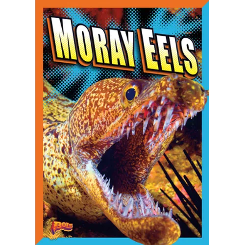 Moray Eels