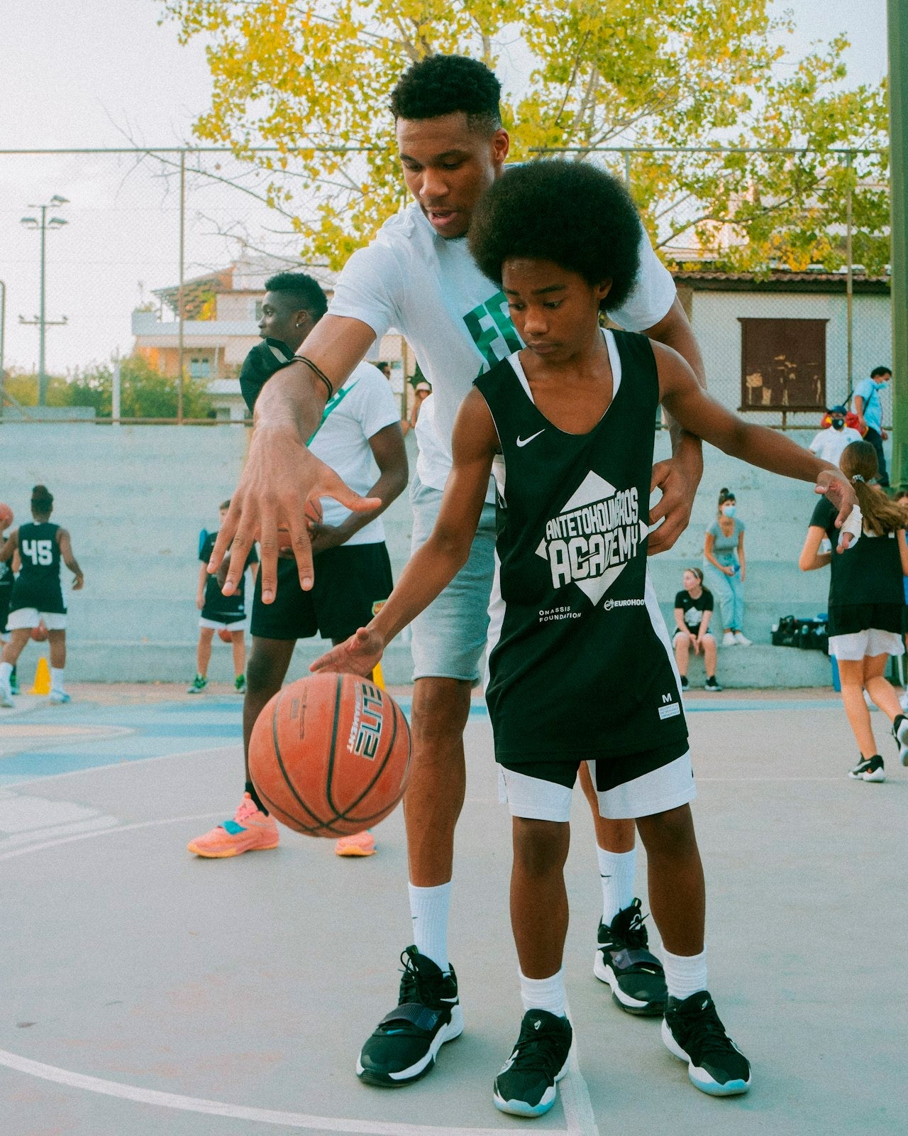 Courtside Candy Book