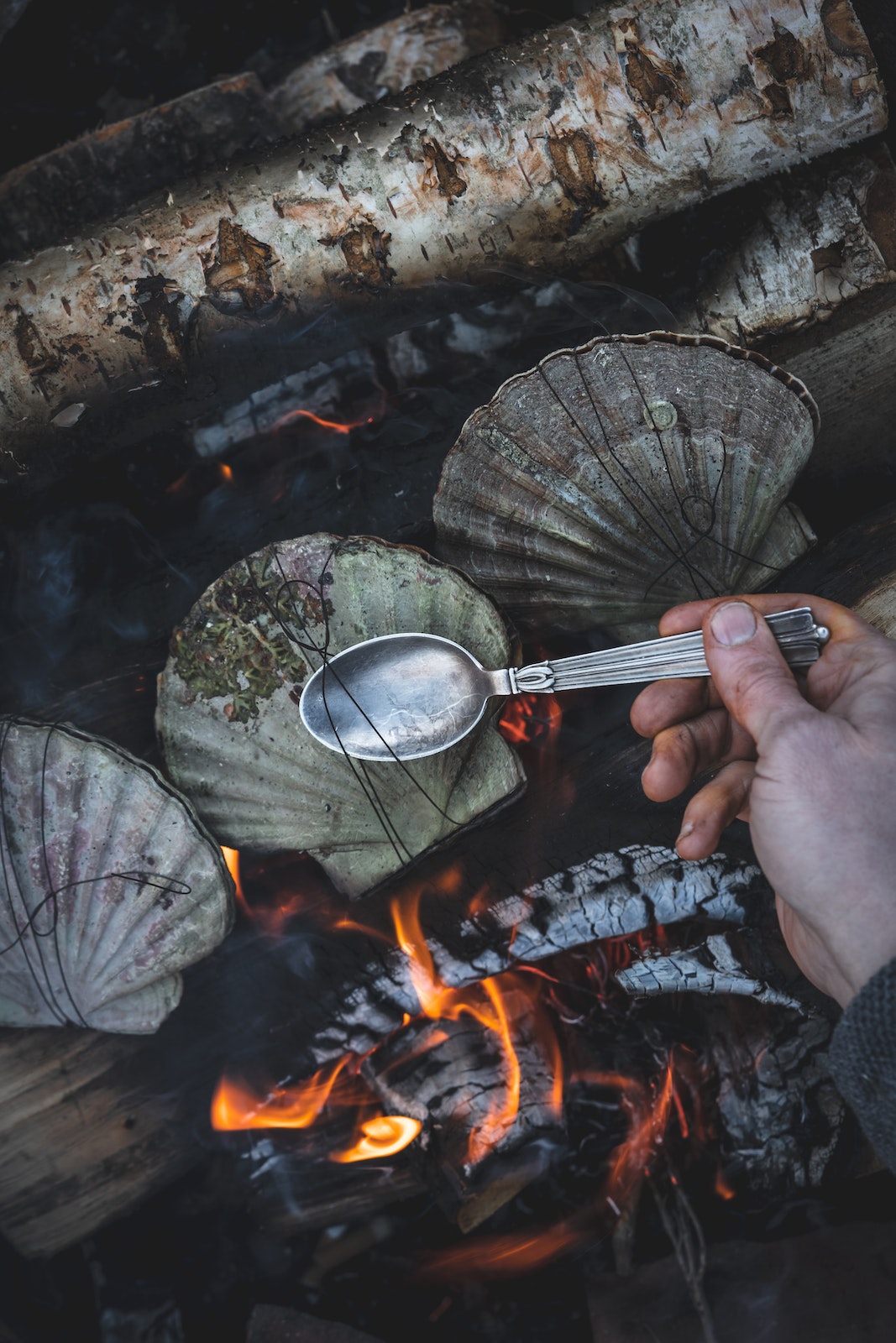 Cooking on Fire Book