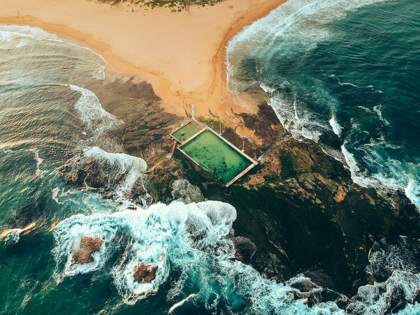 The Nature of Swimming Book