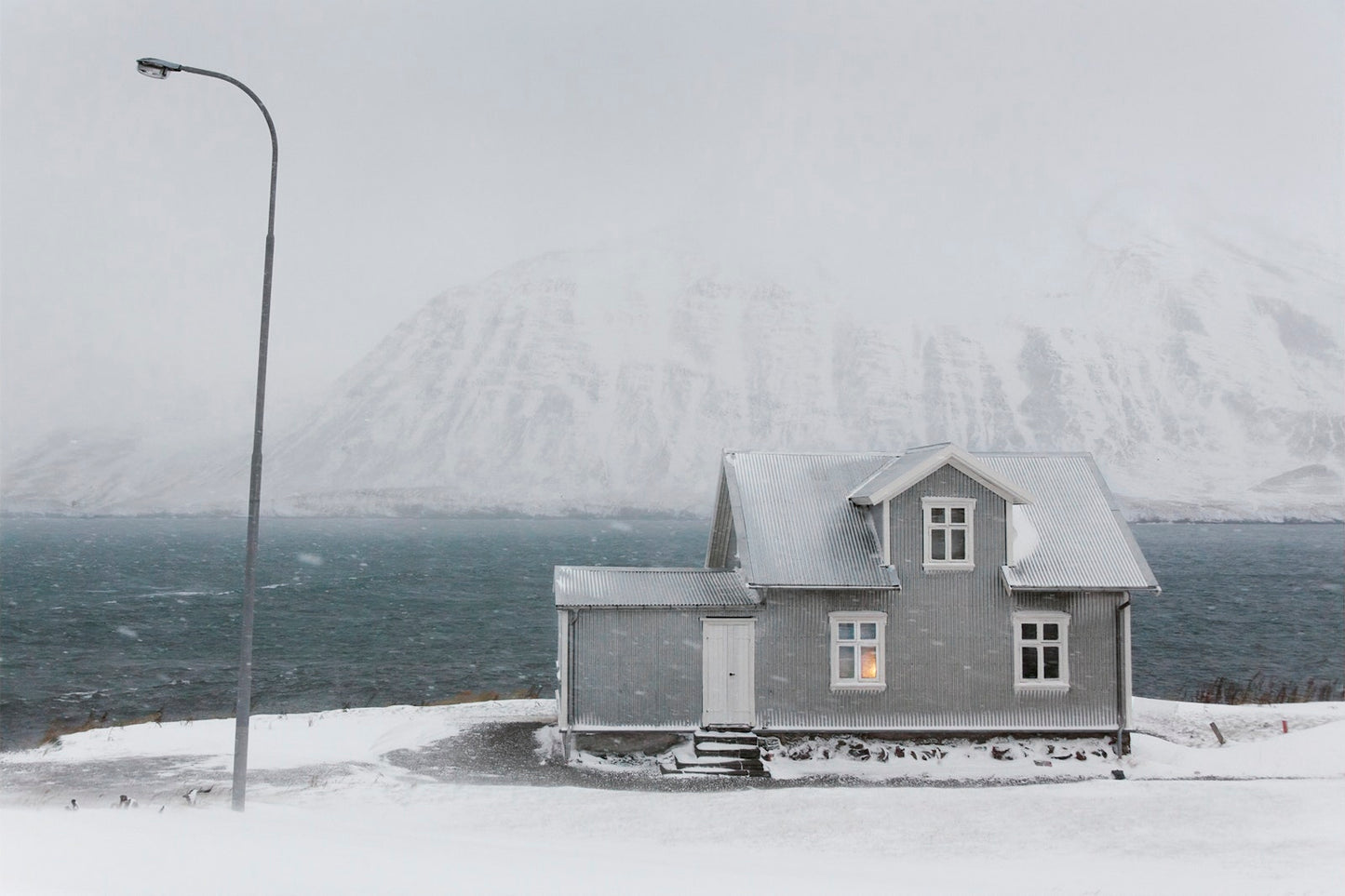 Winterland Book