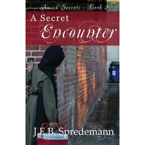 A Secret Encounter (Amish Secrets #2)