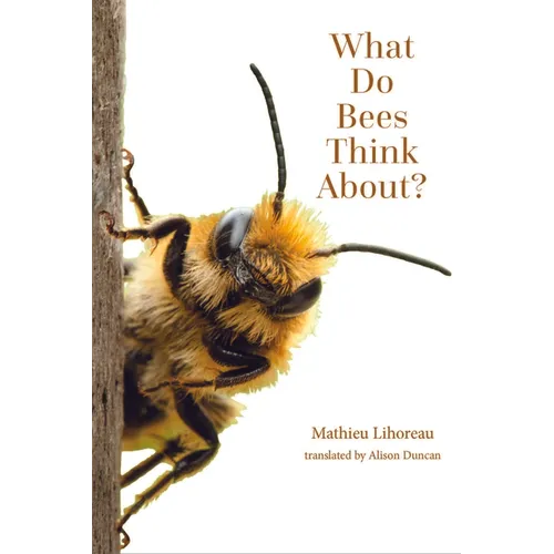 What Do Bees Think About?