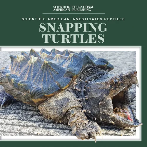 Snapping Turtles