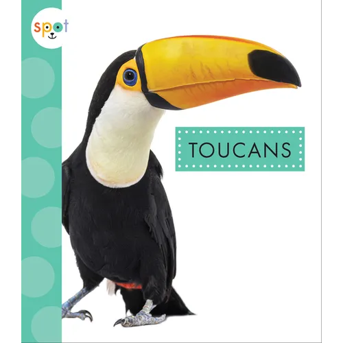 Toucans