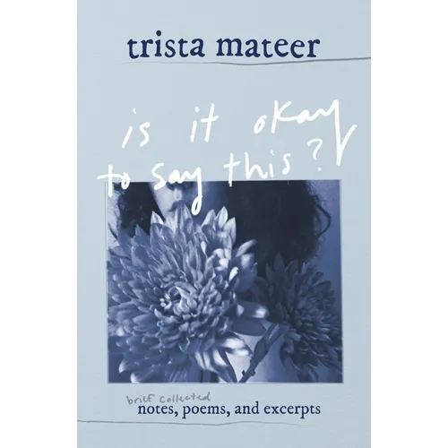 is it okay to say this?: brief collected notes, poems, and excerpts