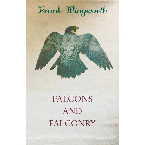 Falcons and Falconry