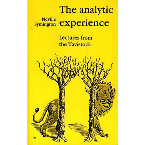 The Analytic Experience: Lectures from the Tavistock