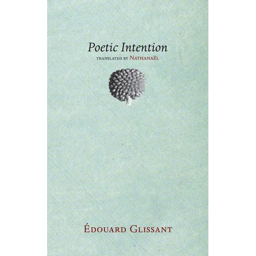 Poetic Intention