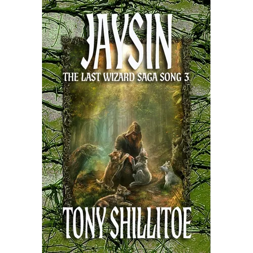 Jaysin: The Last Wizard Saga Song 3