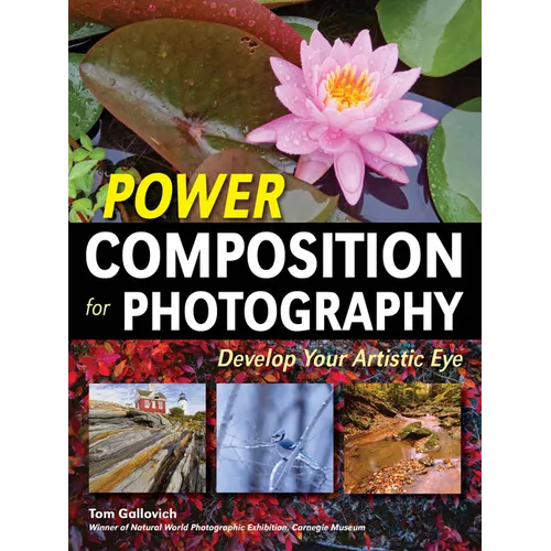 Power Composition for Photography: Develop Your Artistic Eye