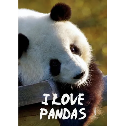 I Love Pandas Notebook