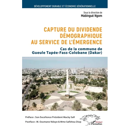 Capture du dividende démographique au service de l'émergence: Cas de la commune de Gueule Tapée-Fass-CoIobane (Dakar)