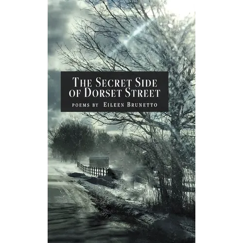 The Secret Side of Dorset Street