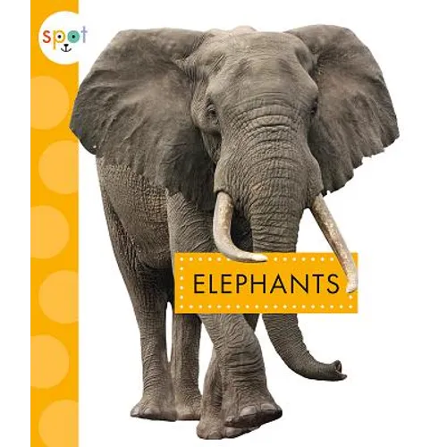 Elephants