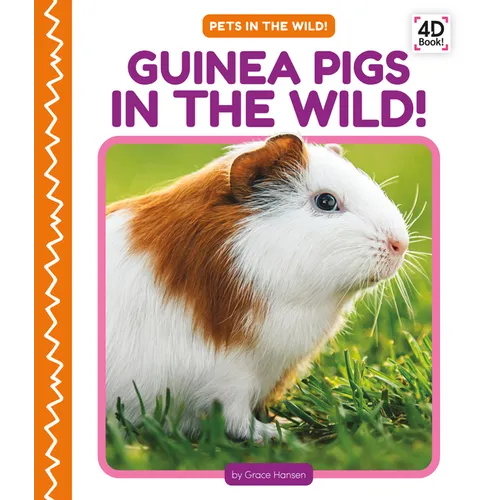 Guinea Pigs in the Wild!