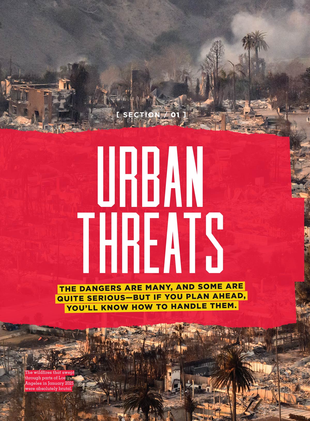 Prepper Survival Guide - How To Survive Disasters: Protect Your Loved Ones, Strategies & Tips For Terrorism, Natural Disasters & Civil Unrest, Ensure Your Safety, Plan Your Escape Route & More!