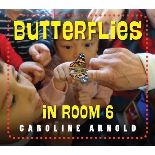 Butterflies in Room 6: See How They Grow