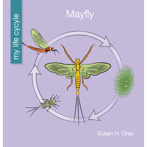 Mayfly