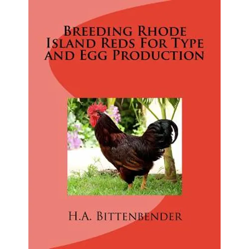 Breeding Rhode Island Reds For Type and Egg Production